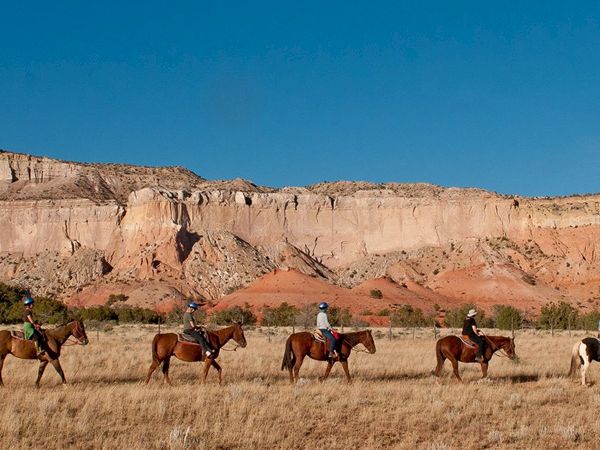 Harrell Hospitality Group, LLC.